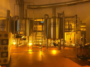 Visitas a la fábrica de LA SALVE
